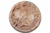Polished Saharan Desert Jasper Dish - Morocco #349402-1